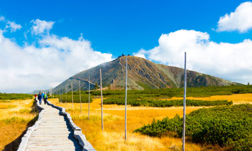 Hiking in the Giant Mountain